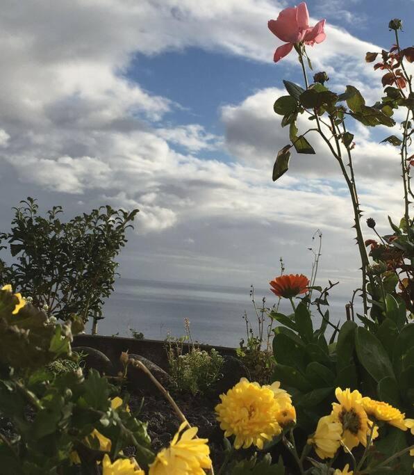 Sunflower Guest House - Madalena - Pico Sao Caetano  Esterno foto