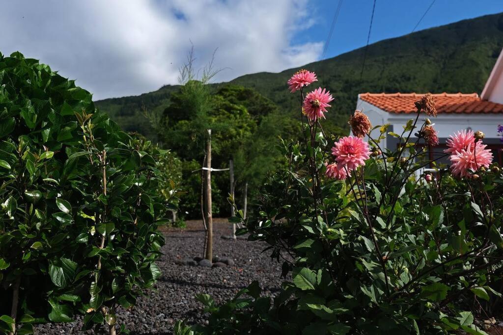Sunflower Guest House - Madalena - Pico Sao Caetano  Esterno foto