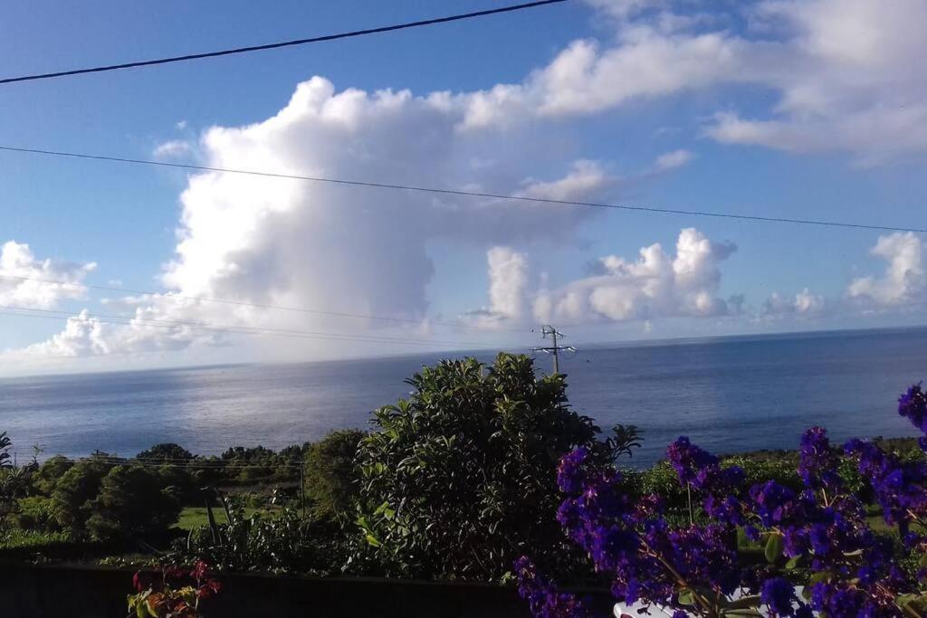 Sunflower Guest House - Madalena - Pico Sao Caetano  Esterno foto