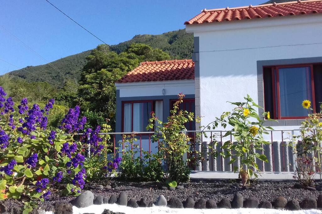 Sunflower Guest House - Madalena - Pico Sao Caetano  Esterno foto