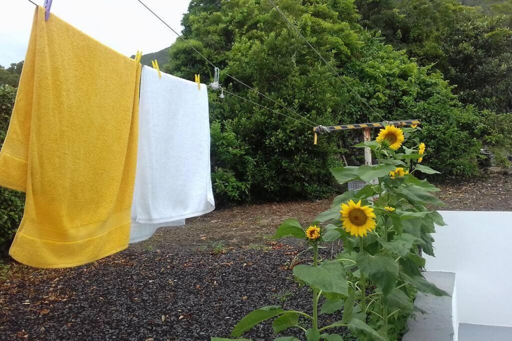 Sunflower Guest House - Madalena - Pico Sao Caetano  Esterno foto