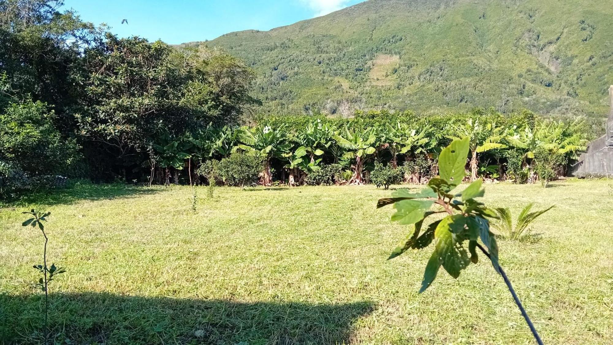 Sunflower Guest House - Madalena - Pico Sao Caetano  Esterno foto